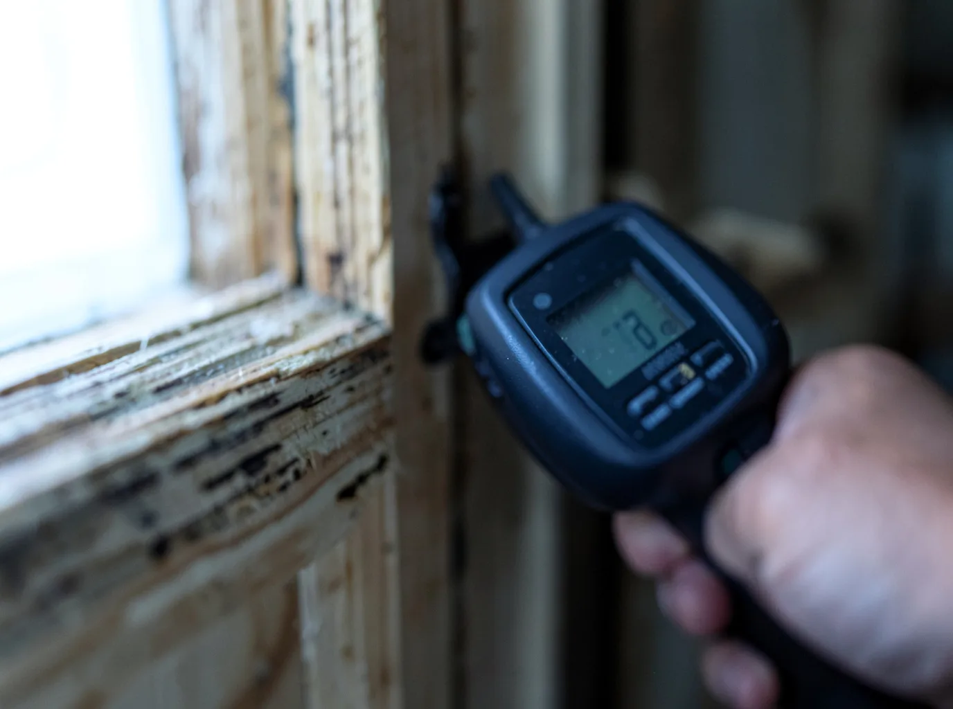 Moisture Inspection And Documentation in Bowling Green, OH